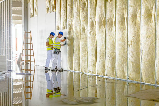 Best Commercial Insulation in Conyers, GA